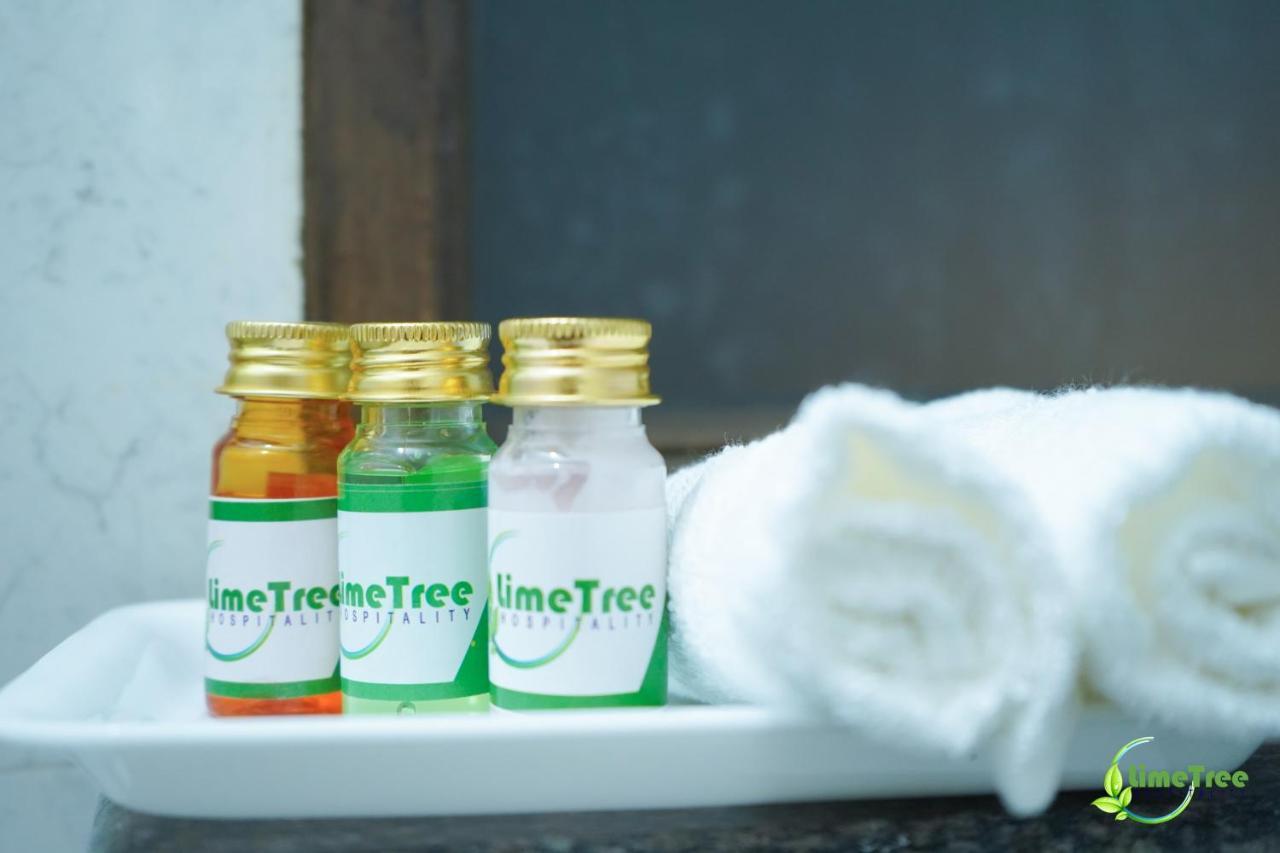 Lime Tree Hotel Near 32Nd Avenue Sector 29 Gurgaon Zewnętrze zdjęcie